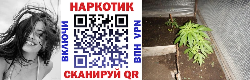Наркошоп купить Галлюциногенные грибы  Меф мяу мяу  ГАШИШ  Конопля  Демидов
