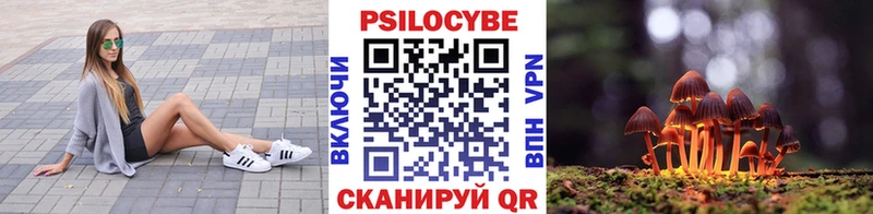 Псилоцибиновые грибы MAGIC MUSHROOMS Купить закладки Демидов